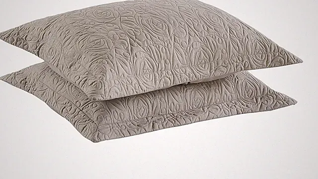 2-Piece Embroidered Decorative Pillow Shams Microfiber White Standard Size