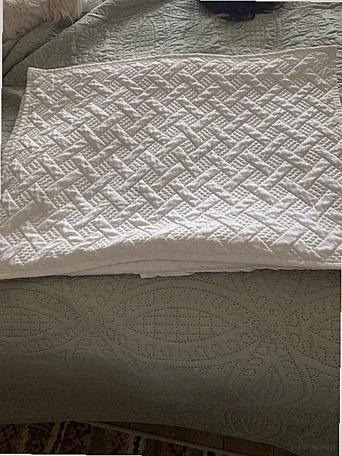 Beautiful Quilted Pillow Shams By Mainstay Beige With Pocket Back - Standard
