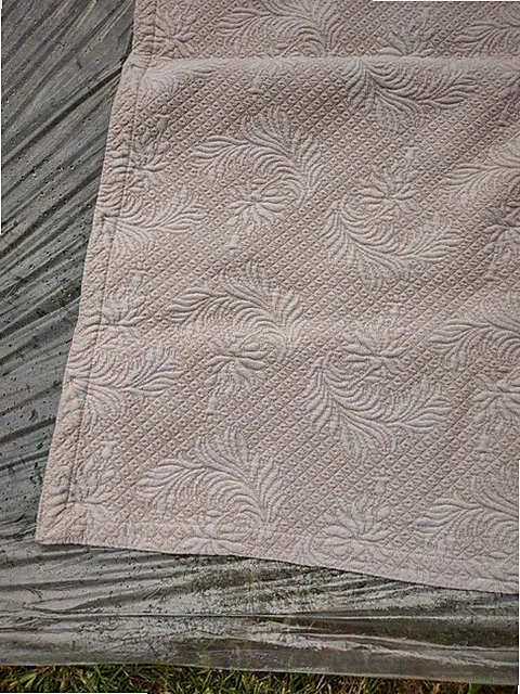 Matelasse Coverlet Creamy Beige Cotton Made in Portugal 82 1/2" x 87 1/2"